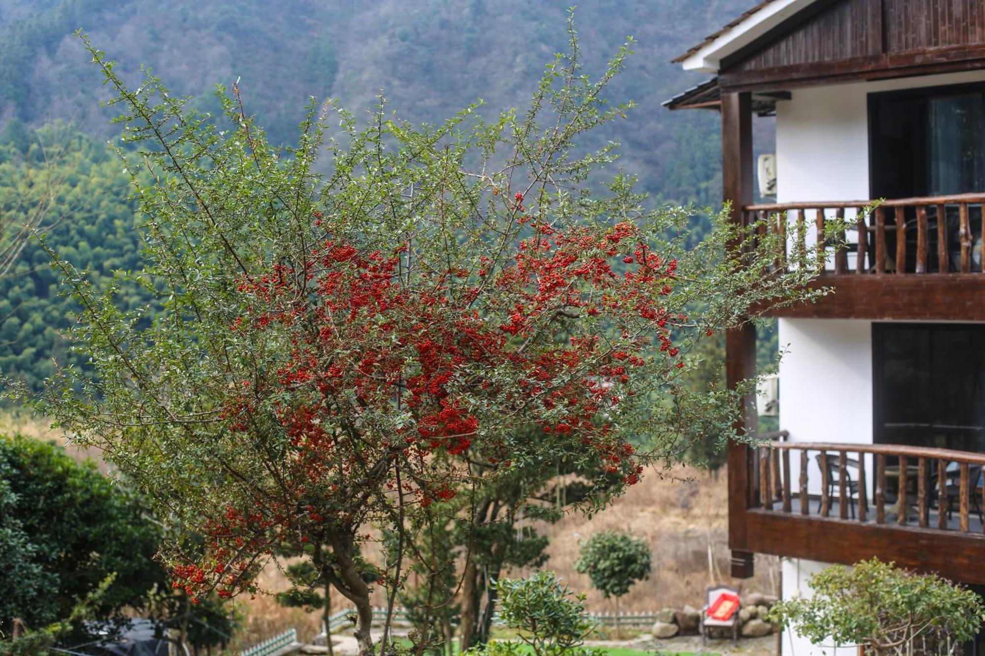 Zhangjiajie Mountainside Exterior foto
